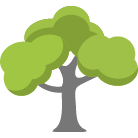 Rockford Tree Removal Service