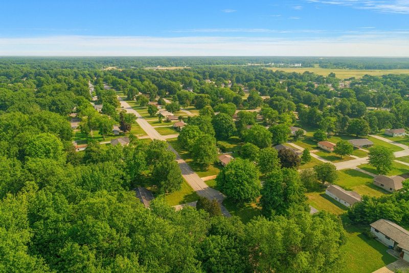 Apple Tree Removal in Jenison, MI