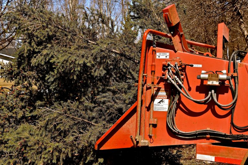 Tree Removal