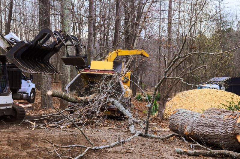 Tree Cutting Equipment