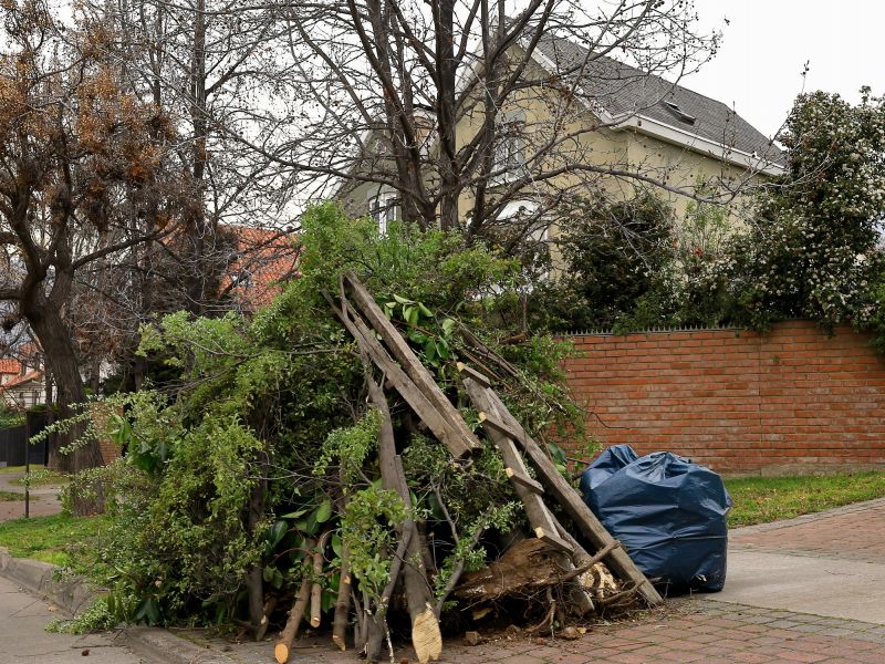 Property After Removal