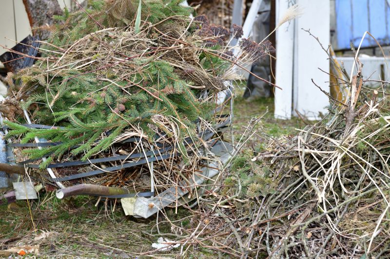 Disposal of Removed Trees