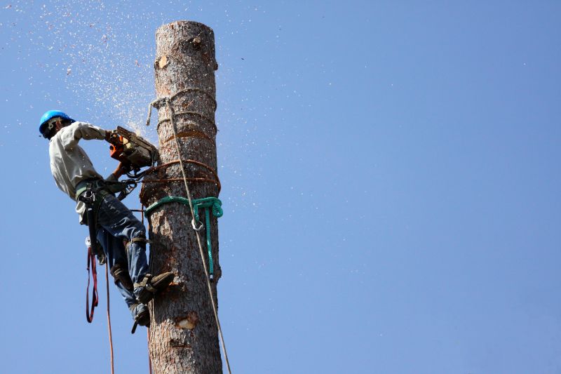 Tree Removal Equipment