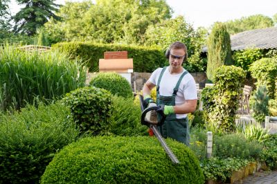 Landscaping and Land Clearing Services